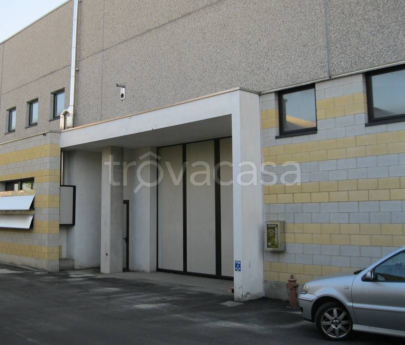 immagine annuncio 3 di 11