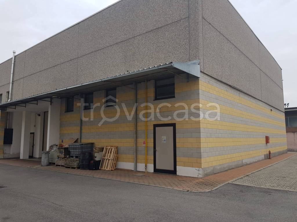 immagine annuncio 9 di 11