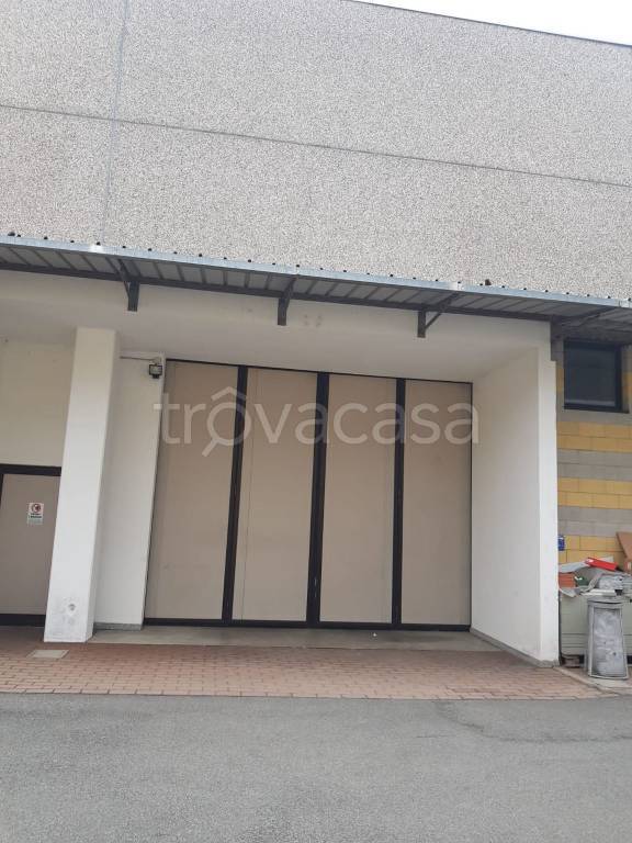 immagine annuncio 8 di 11