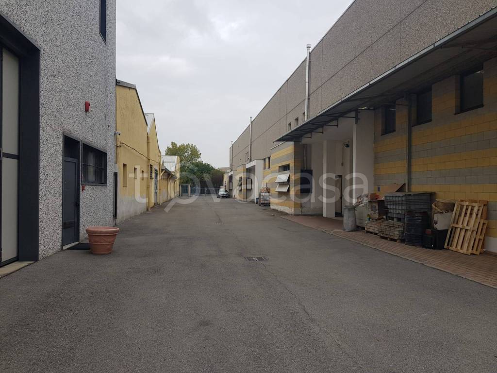 immagine annuncio 10 di 11