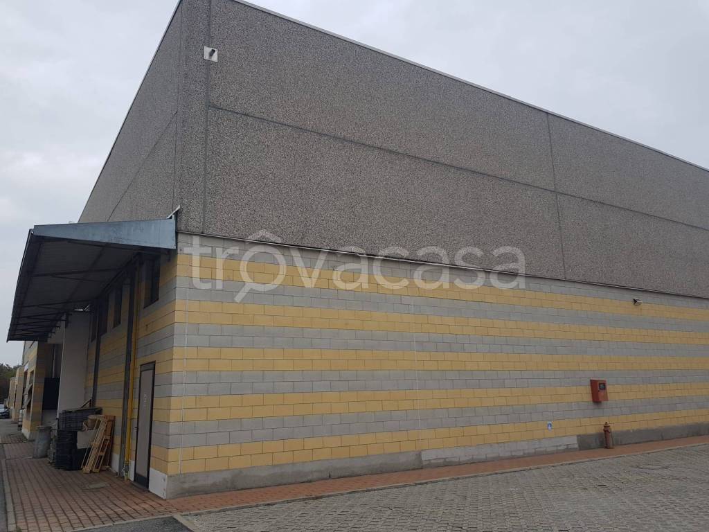 immagine annuncio 4 di 11