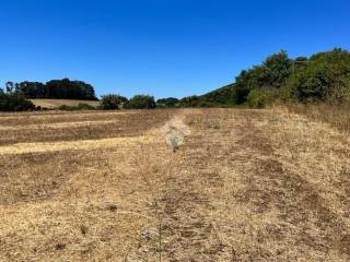 Terreno agricolo in vendita a trevignano romano via della madonnella, 11