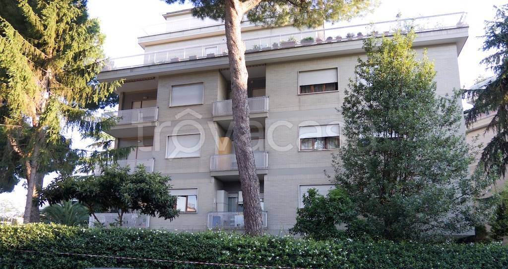 Appartamento in in affitto da privato a Roma via di Val Cannuta