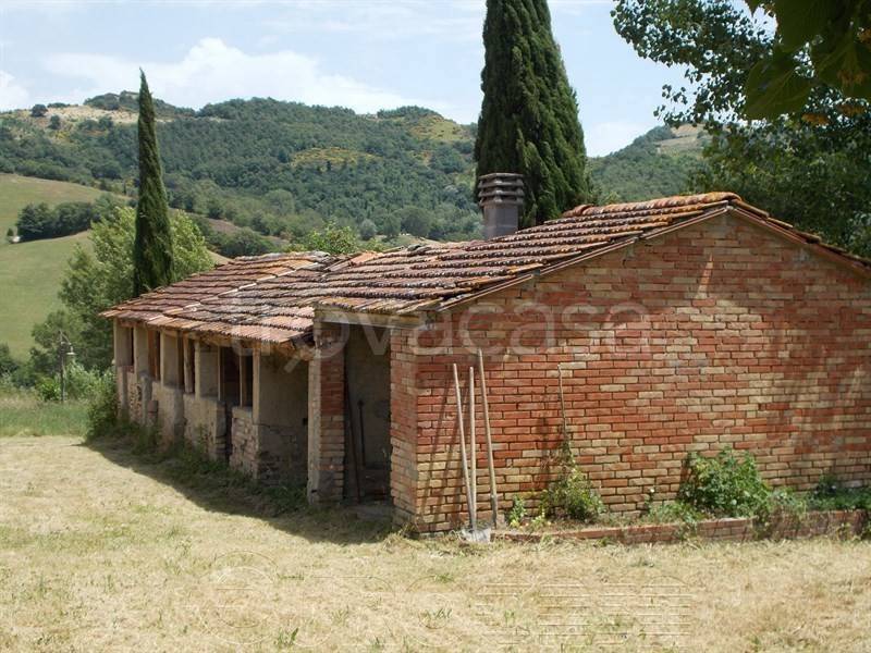 immagine annuncio 3 di 8