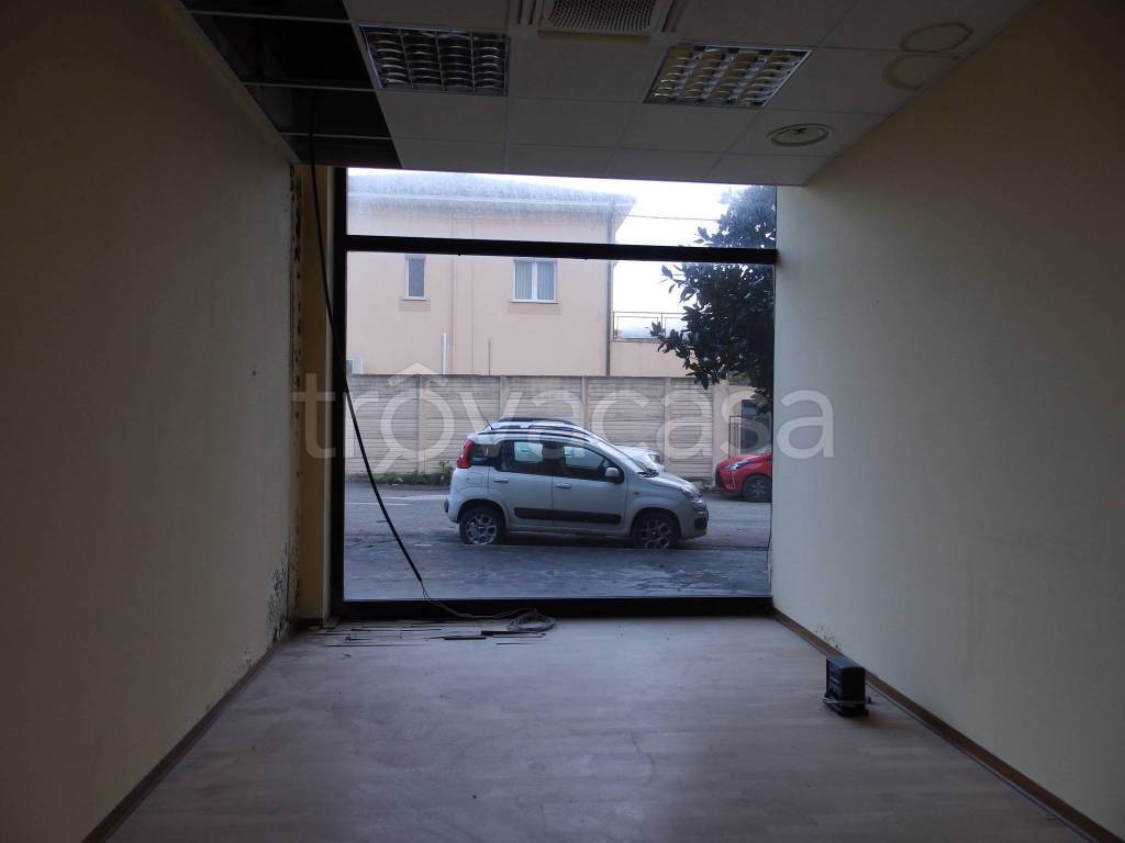 immagine annuncio 6 di 7