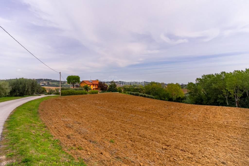 Terreno Agricolo in vendita a Civitanova Marche contrada San Savino