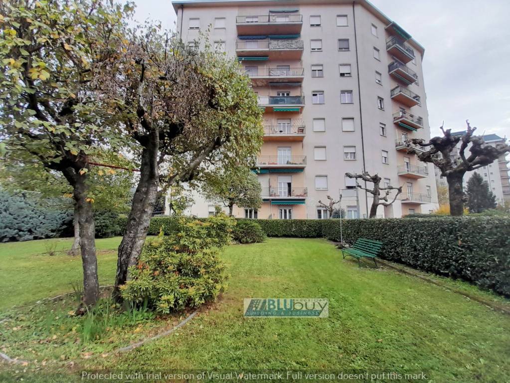 immagine annuncio 2 di 6