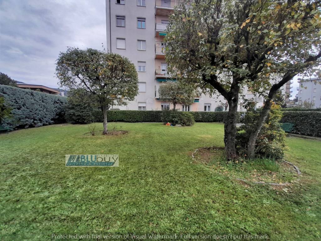 immagine annuncio 3 di 6