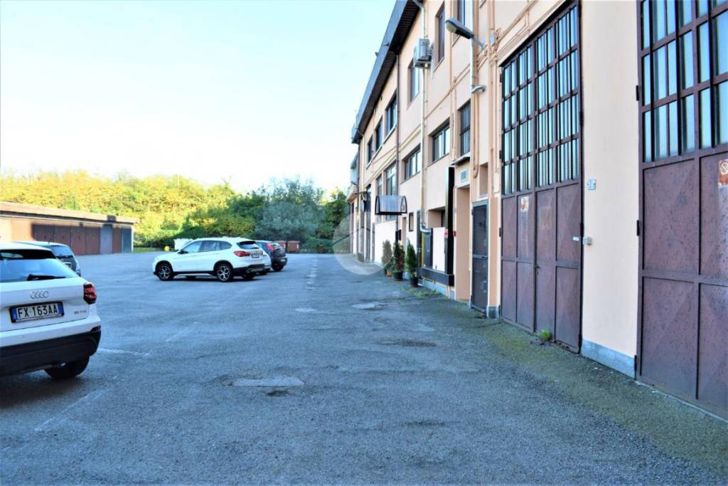 immagine annuncio 7 di 15