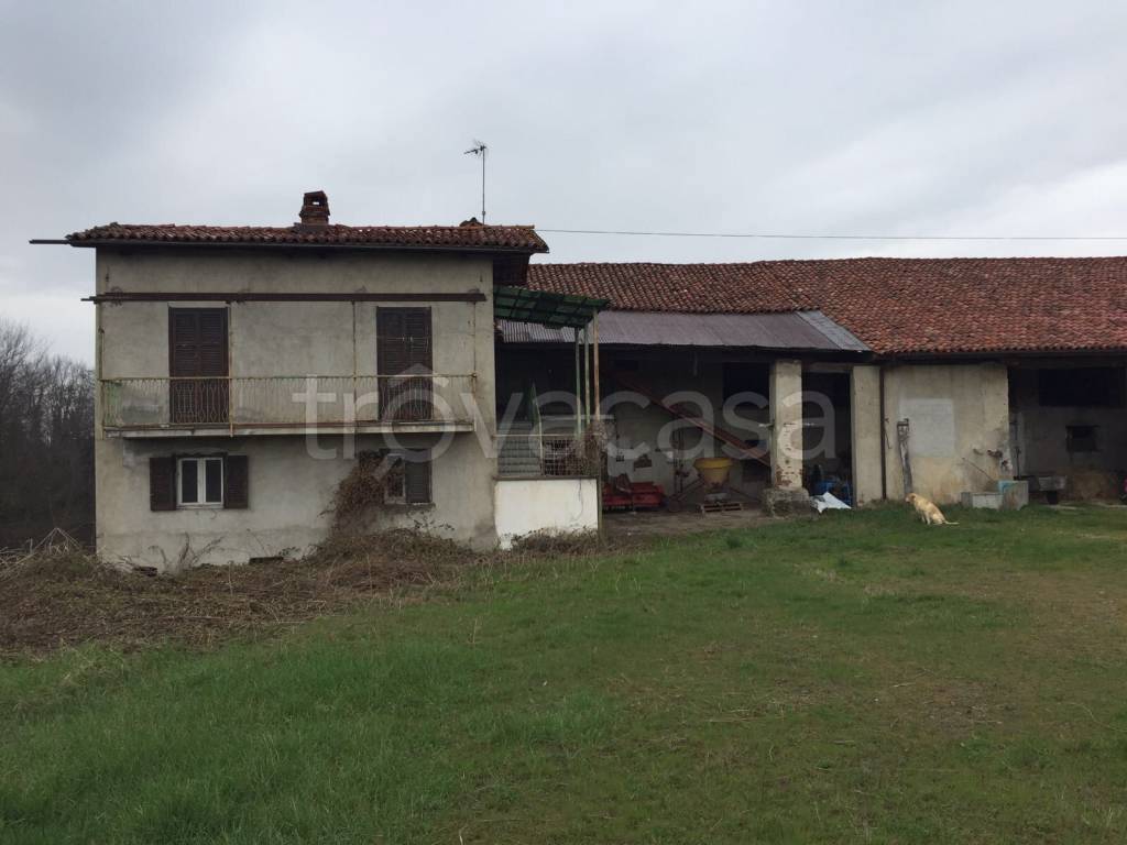 immagine annuncio 5 di 6