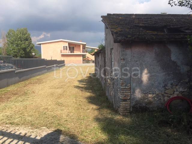 immagine annuncio 3 di 6