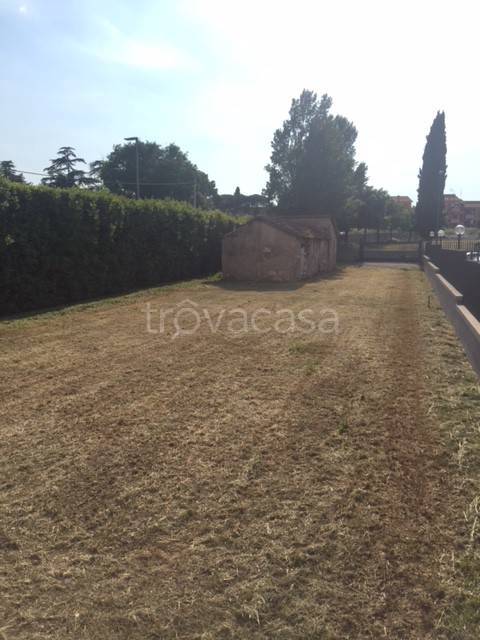immagine annuncio 4 di 6