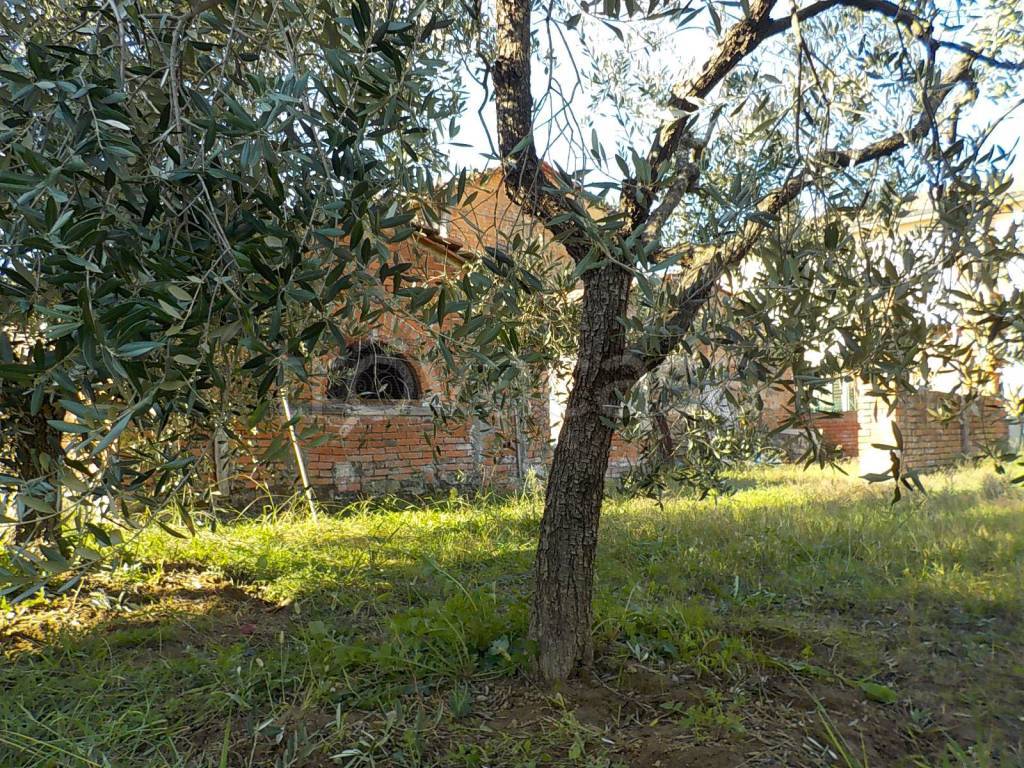 immagine annuncio 8 di 9