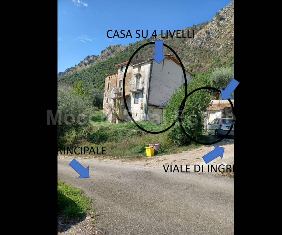 immagine annuncio 8 di 11