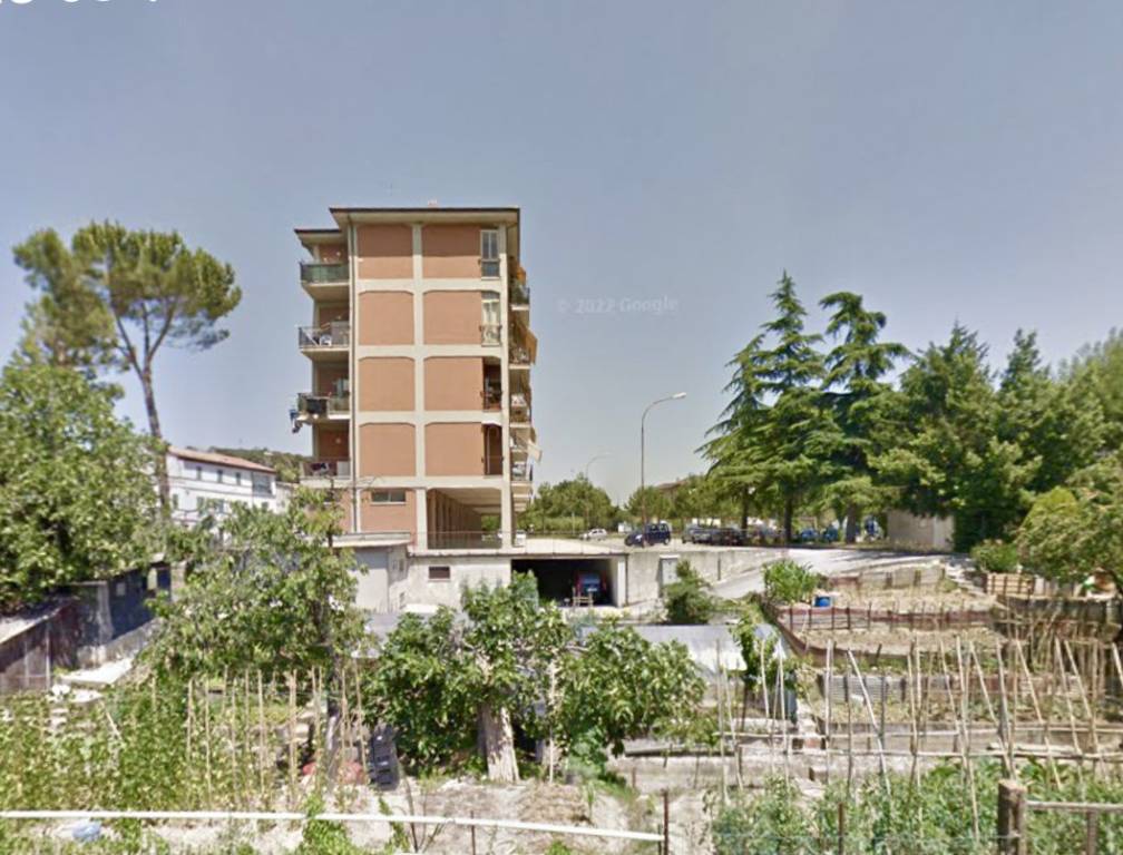 immagine annuncio 4 di 12