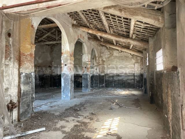 immagine annuncio 6 di 13