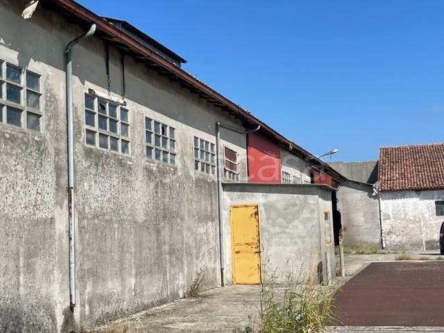 immagine annuncio 7 di 13