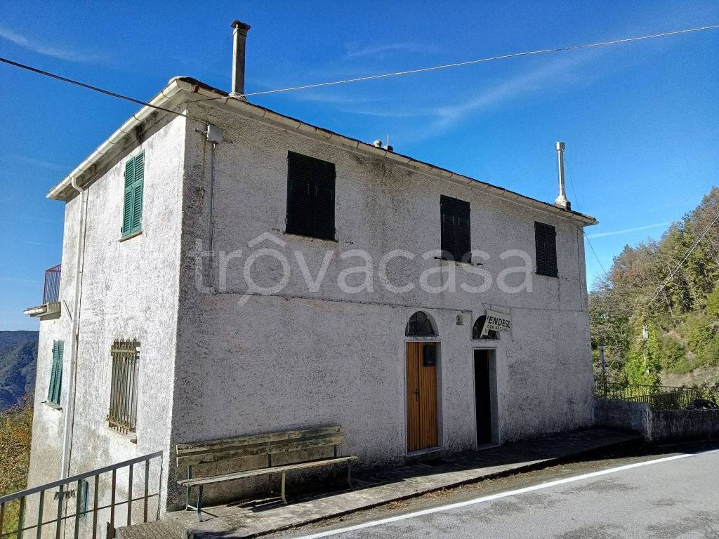 Casa Indipendente in in vendita da privato a Borzonasca frazione Montemoggio, 5