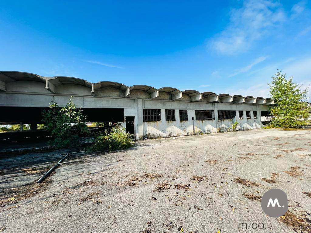 immagine annuncio 1 di 13