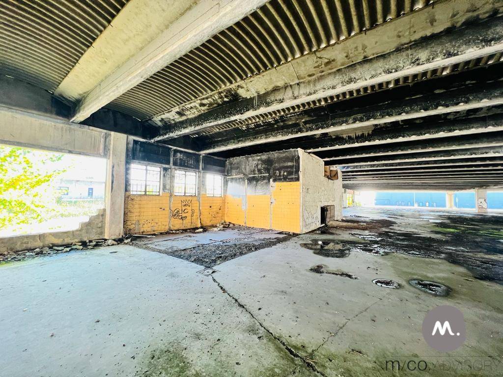 immagine annuncio 6 di 13