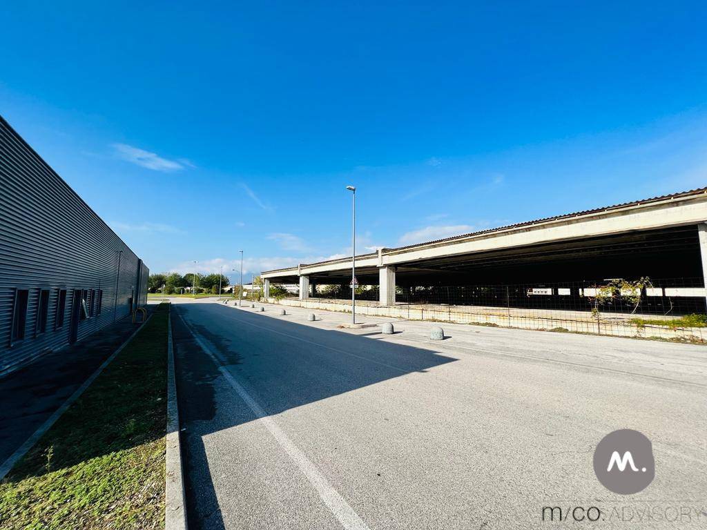 immagine annuncio 11 di 13