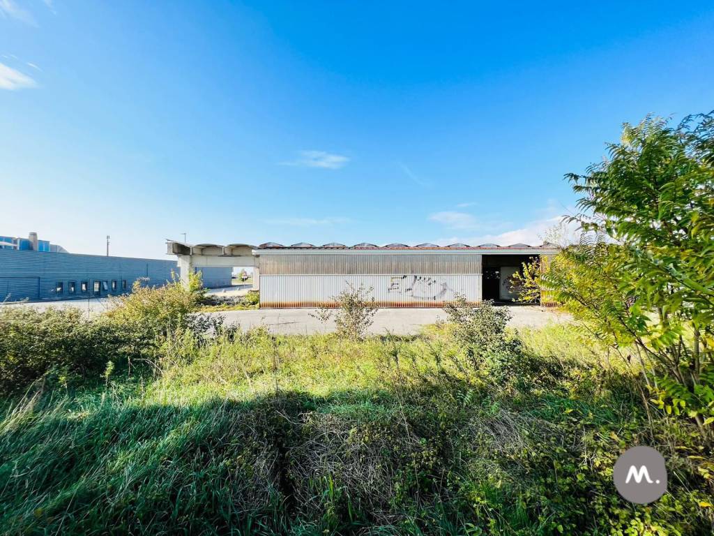 immagine annuncio 12 di 13