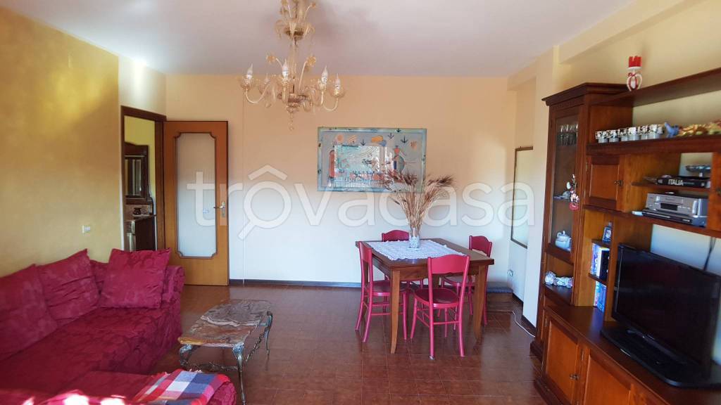 immagine annuncio 3 di 12