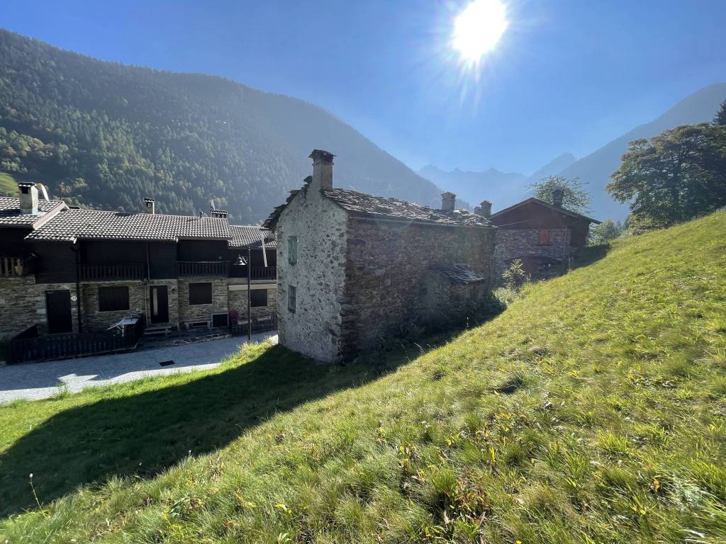immagine annuncio 2 di 4