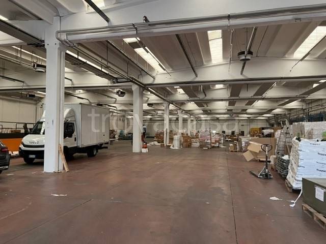 immagine annuncio 1 di 12