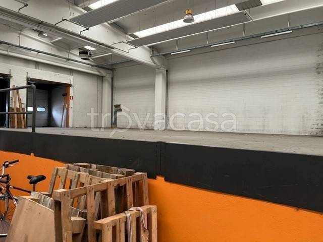 immagine annuncio 2 di 12