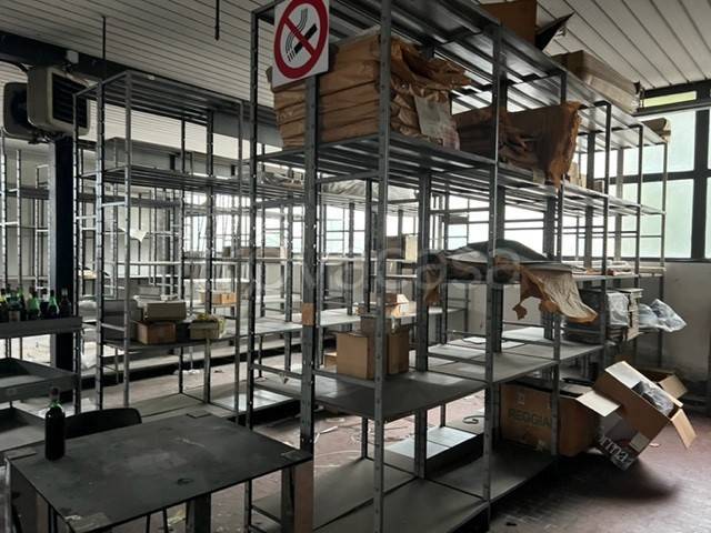 immagine annuncio 4 di 12