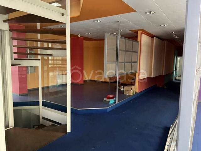 immagine annuncio 6 di 12