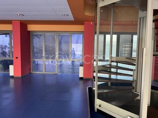 immagine annuncio 7 di 12