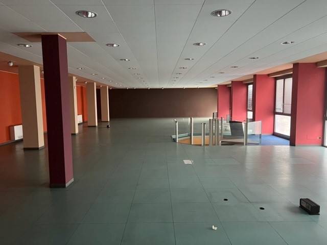 immagine annuncio 9 di 12