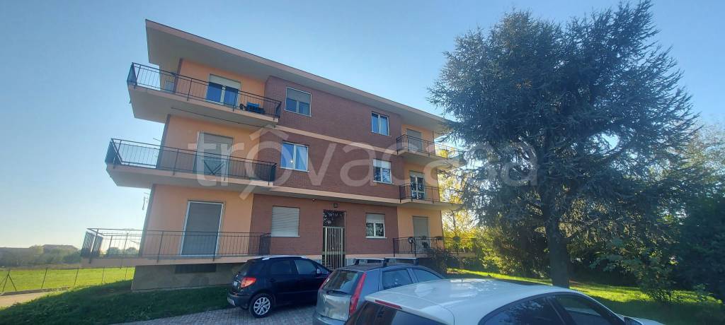 immagine annuncio 1 di 8