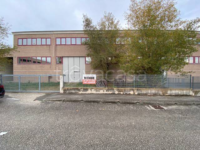 immagine annuncio 5 di 8