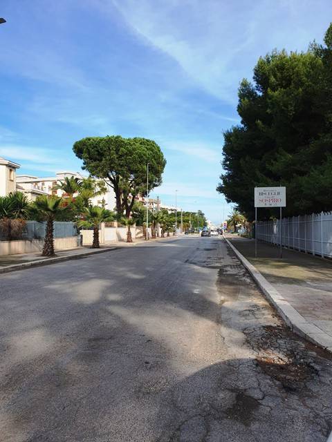 immagine annuncio 7 di 8