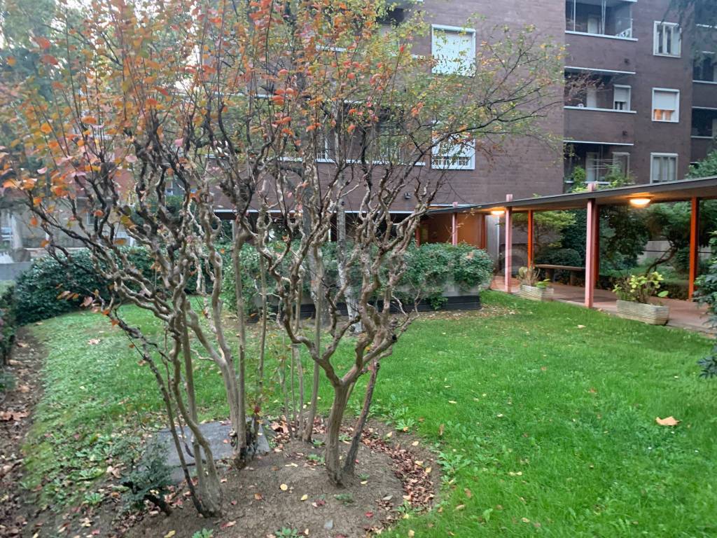 immagine annuncio 2 di 8