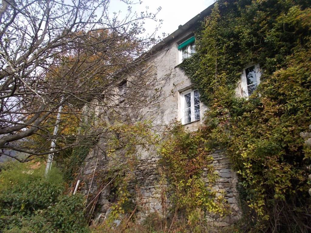 immagine annuncio 1 di 7