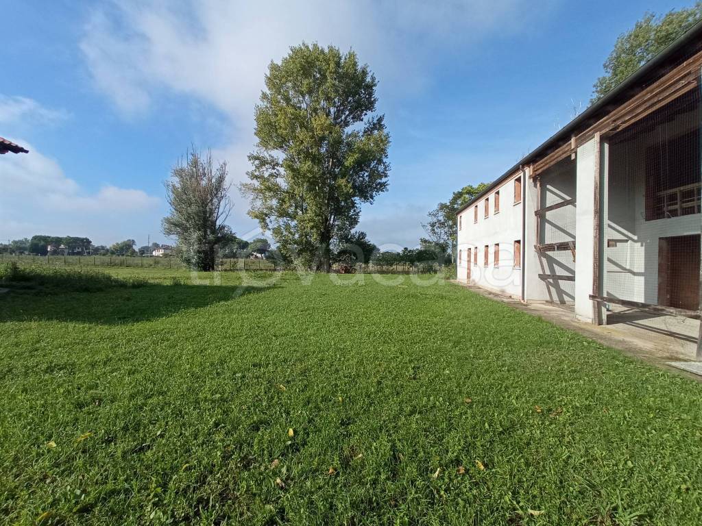 Casa Indipendente in vendita a Piazzola sul Brenta