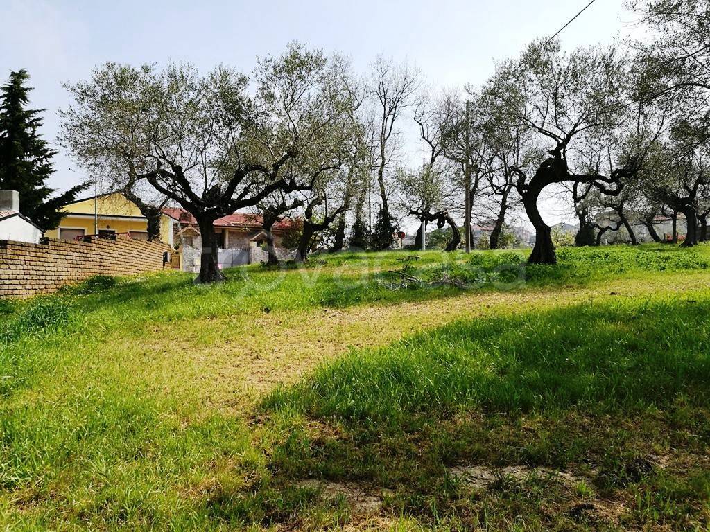 immagine annuncio 4 di 14