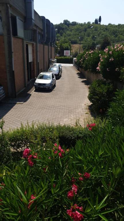immagine annuncio 5 di 6