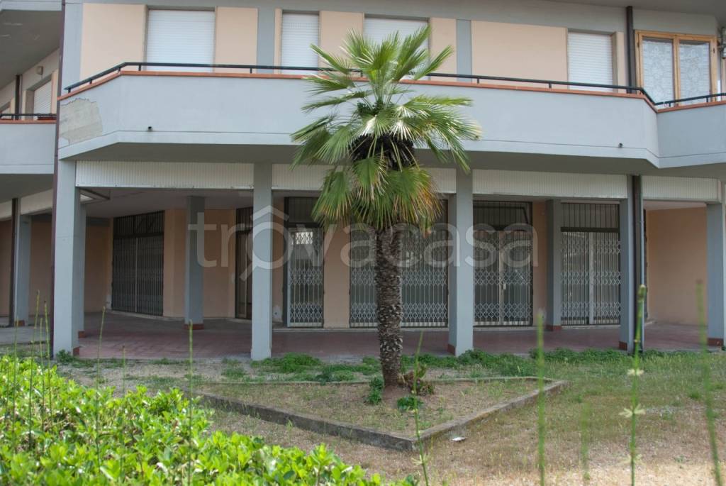 immagine annuncio 1 di 8