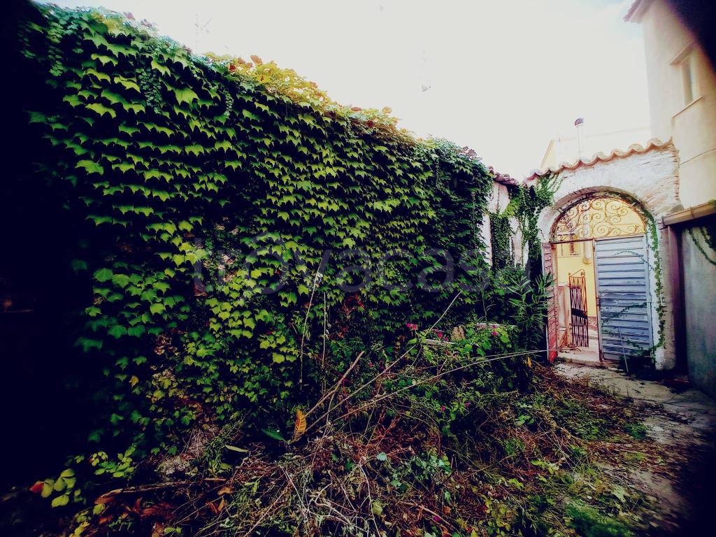 immagine annuncio 7 di 14