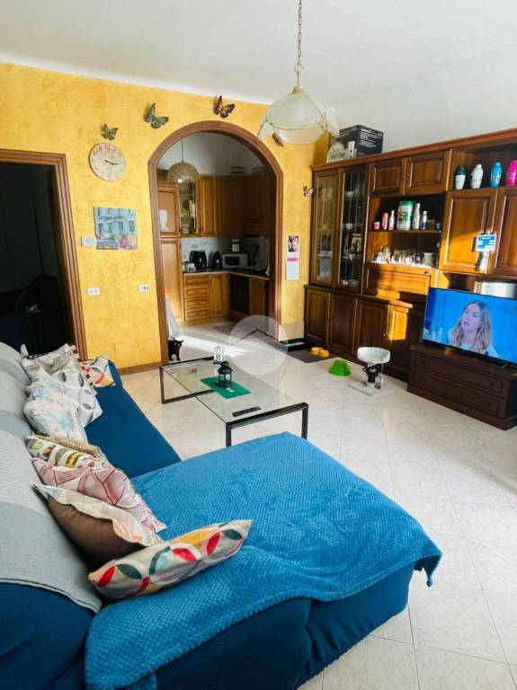 immagine annuncio 6 di 12