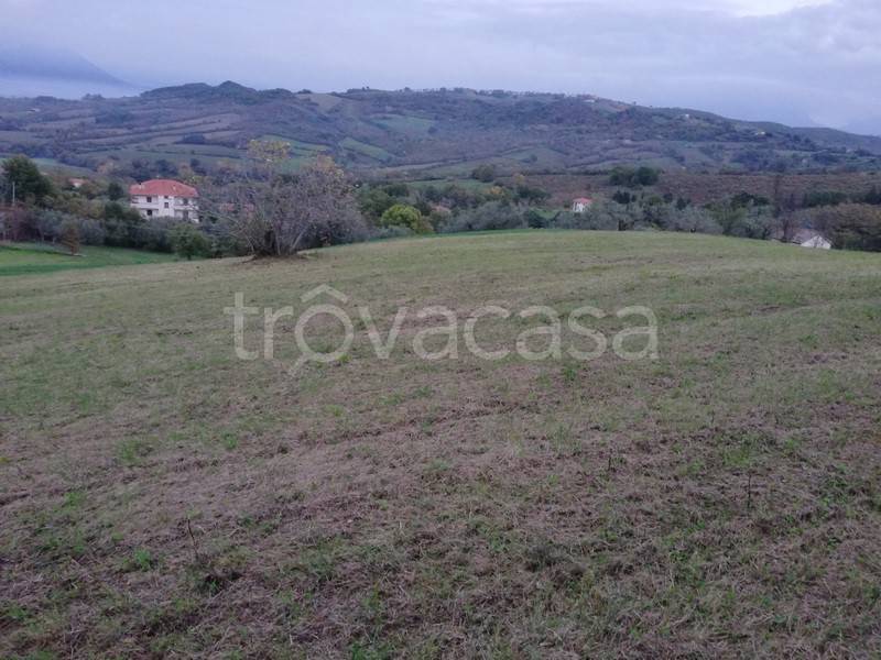 immagine annuncio 3 di 8