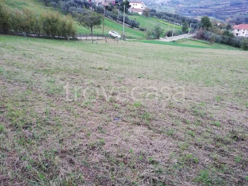 immagine annuncio 4 di 8