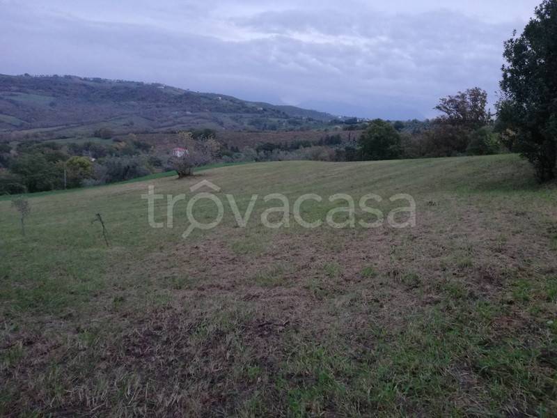 immagine annuncio 5 di 8