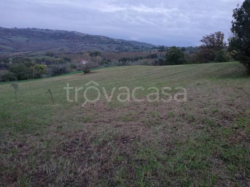 immagine annuncio 6 di 8