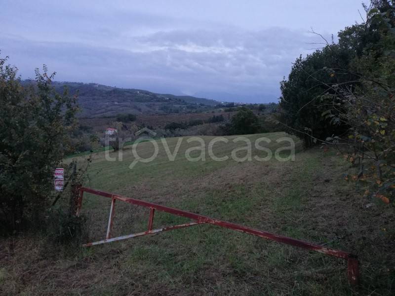 immagine annuncio 7 di 8